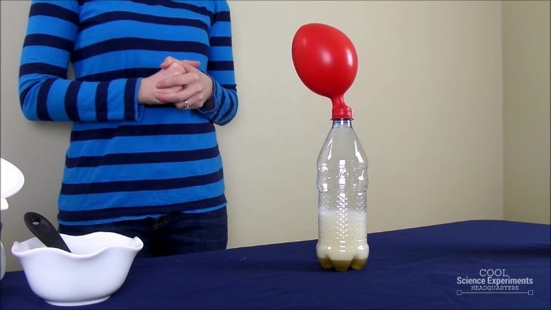 science experiments with hypothesis and conclusion