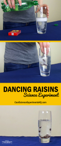 Dancing Raisins Experiment Steps