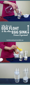 Floating Egg Experiment Steps