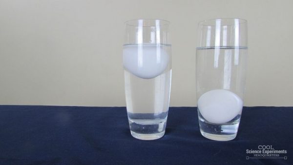 Floating Egg Science Experiment