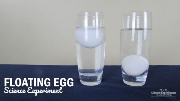 the floating egg experiment hypothesis