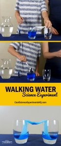 Walking Water Experiment Steps