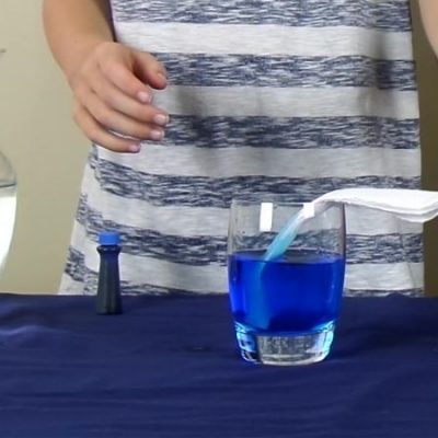 Walking Water Science Experiment