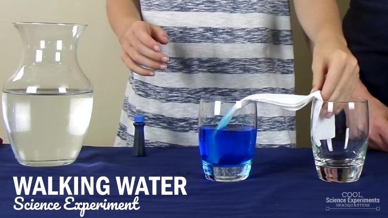 walking-water-science-experiment