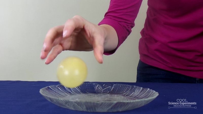 Bouncy Egg Science Experiment