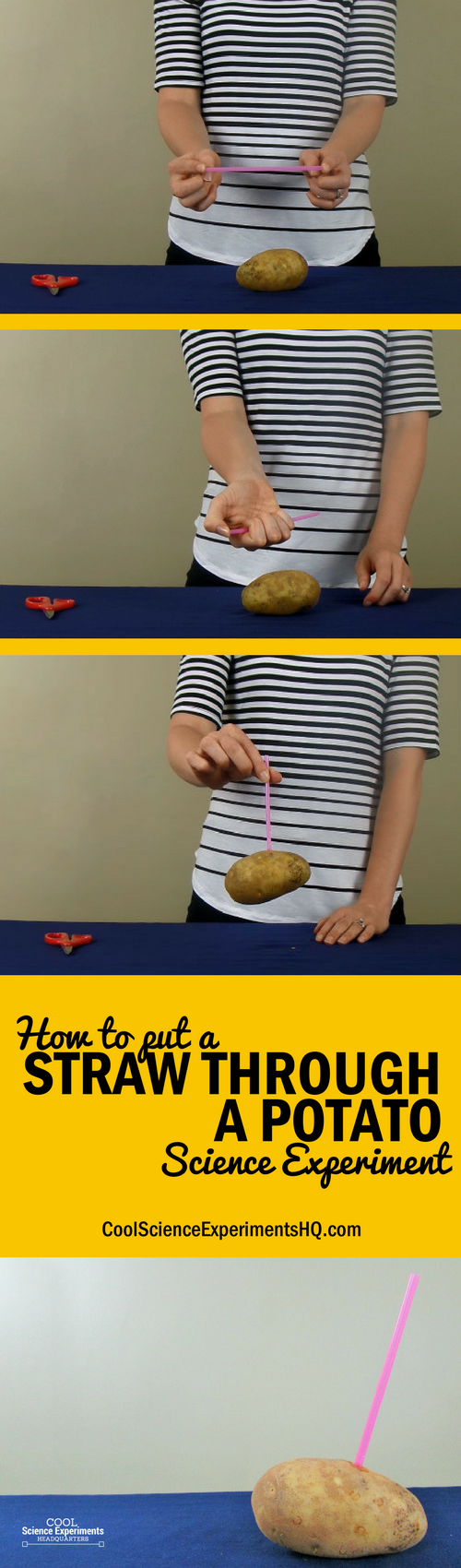 Straw through Potato Experiment Steps
