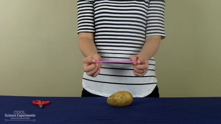 surface area potato experiment