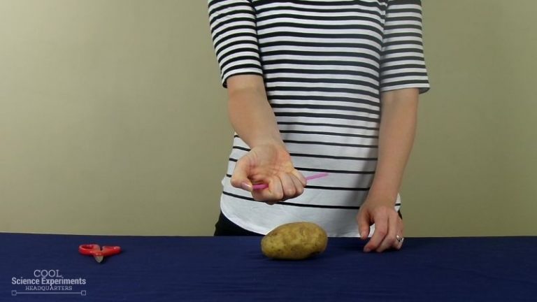 Straw Through a Potato Science Experiment