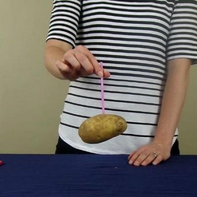 Straw Through a Potato Science Experiment