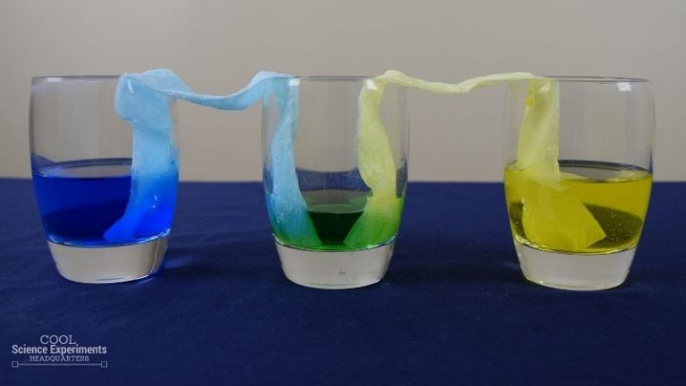 moving colored water experiment