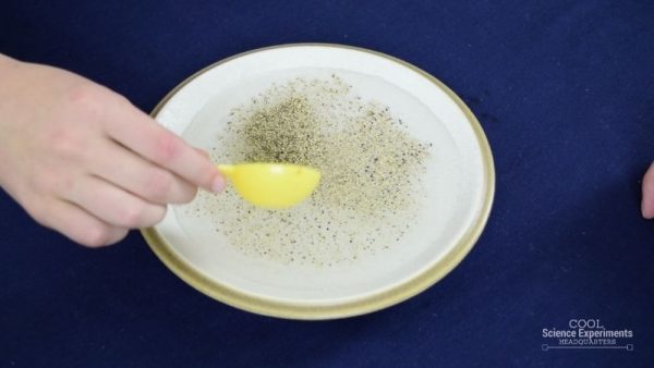 Make Pepper Move Science Experiment