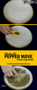 Why does the pepper move experiment steps