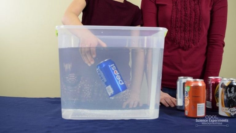 cans sink or float experiment