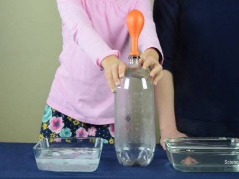 3 Cocktail Ice Presentations Using a Balloon 