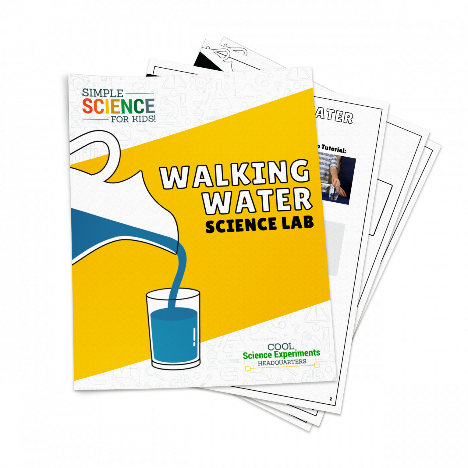 Walking Water Science Experiment