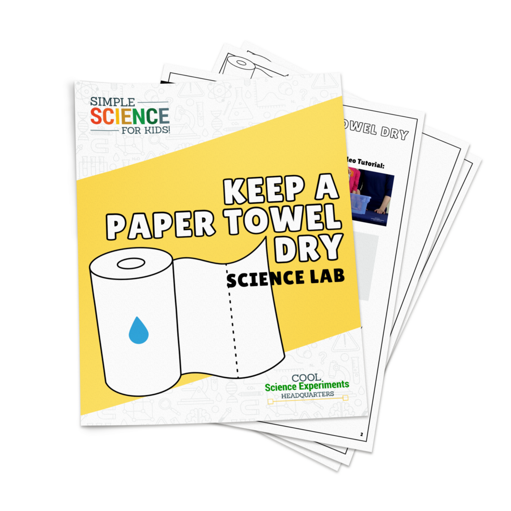 paper towel lab hypothesis